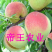 鹰嘴蜜桃苗嫁接桃树苗南北方种植水果苗
