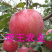 蜜脆苹果苗嫁接苗香红瑞阳瑞雪华硕苹果苗现挖苗发货