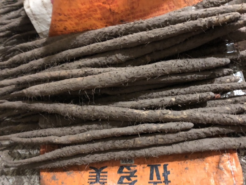 河北铁棍山药紫药大货基地直发对接电商市场商超