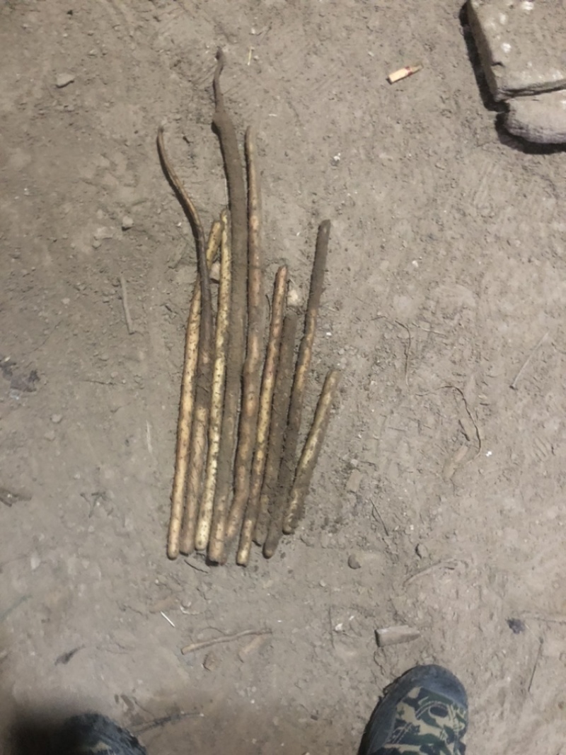 河北铁棍山药紫药大货基地直发对接电商市场商超