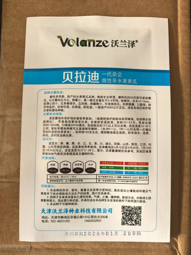 雌性系水果黄瓜种子贝拉迪早熟高产一叶一瓜高产旱黄瓜种子