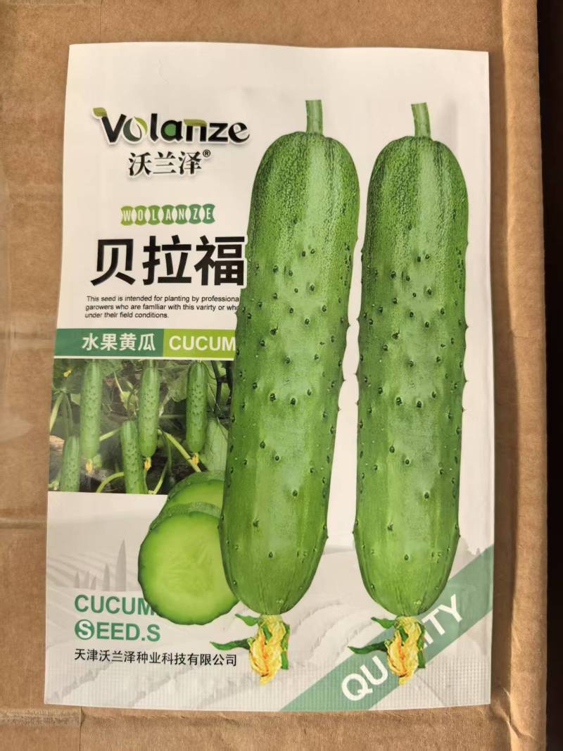 贝拉福水果黄瓜种子早熟高产旱黄瓜种子200粒