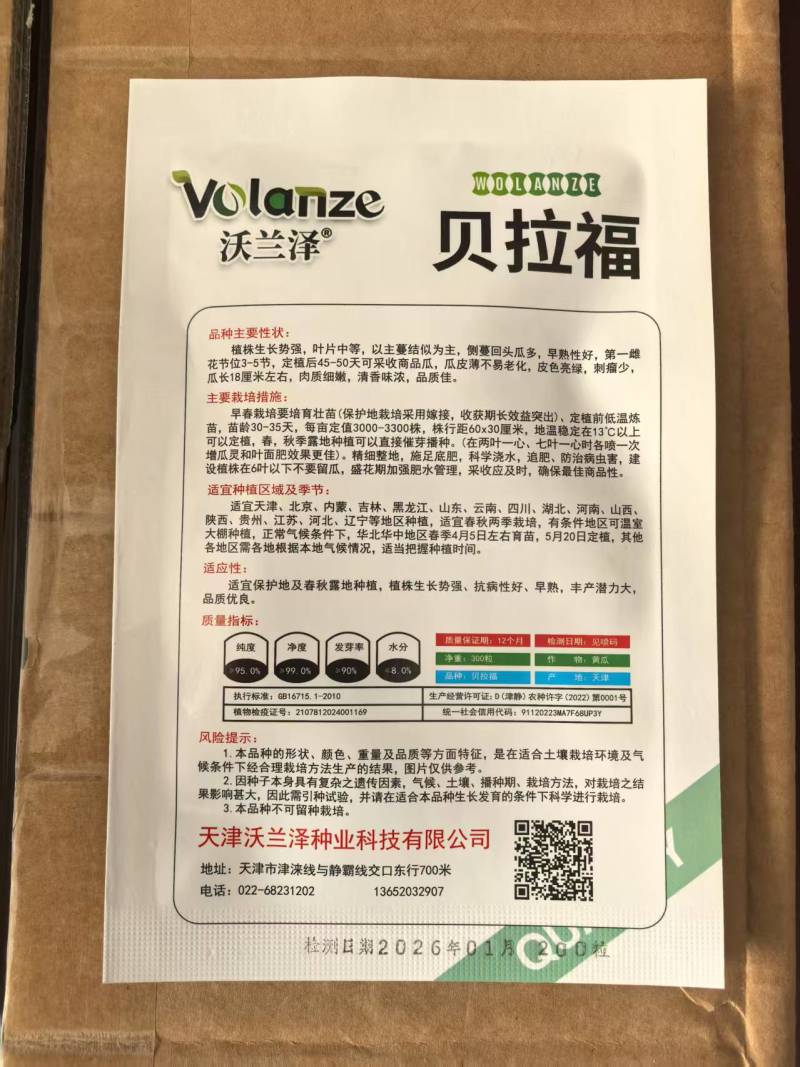贝拉福水果黄瓜种子早熟高产旱黄瓜种子200粒