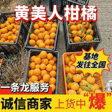 【黄美人柑橘】爱媛68号/自产自销/现摘现发/全国发货