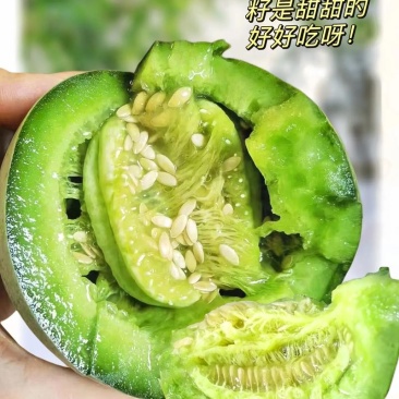 精品绿宝甜瓜基地一手货源对接电商市场商超可视频看货