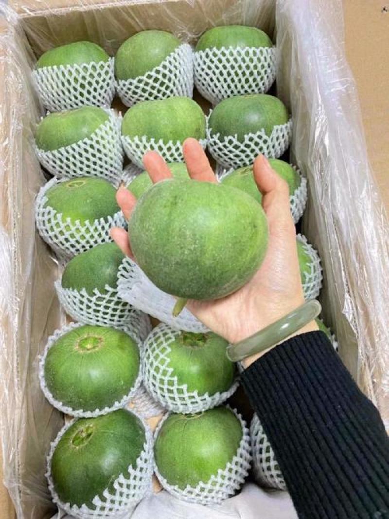 精品绿宝甜瓜基地一手货源对接电商市场商超可视频看货