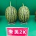 青美12K西瓜种子耐低温易坐果早熟高糖度风味**
