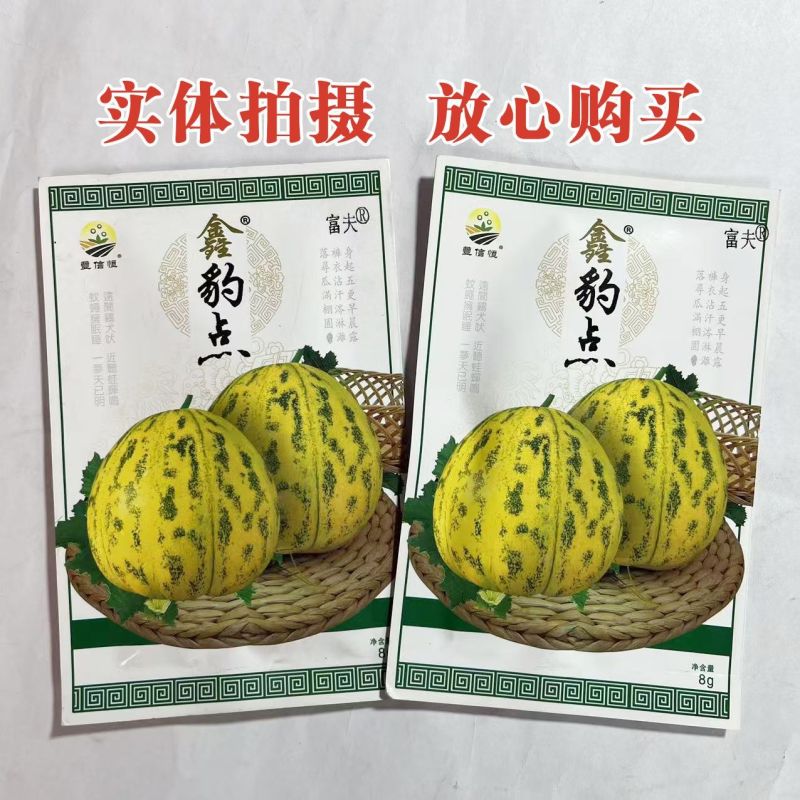 鑫豹点甜瓜种子八里香花皮豹点高糖绿肉杂交高产甜瓜香瓜种子