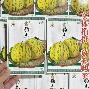 鑫豹点甜瓜种子八里香花皮豹点高糖绿肉杂交高产甜瓜香瓜种子
