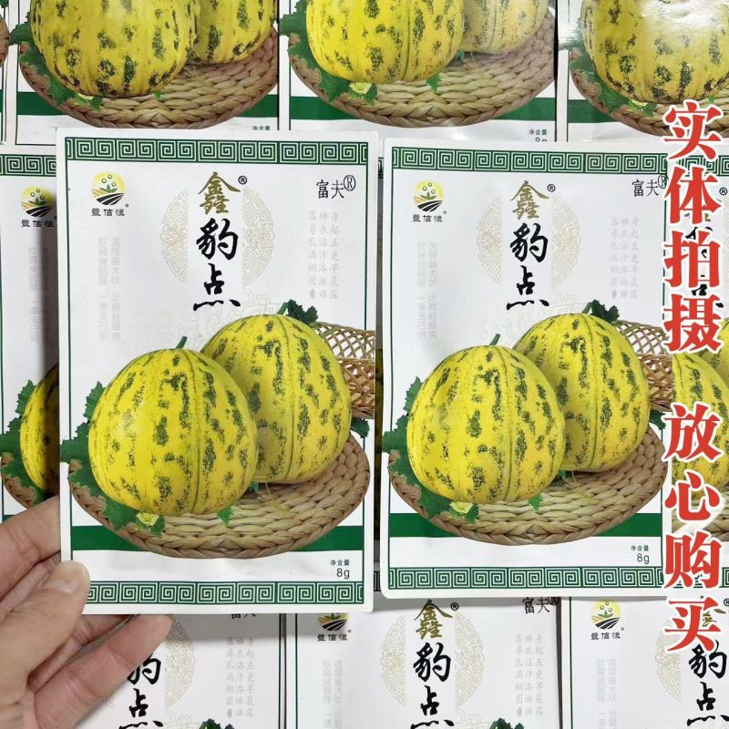 鑫豹点甜瓜种子八里香花皮豹点高糖绿肉杂交高产甜瓜香瓜种子