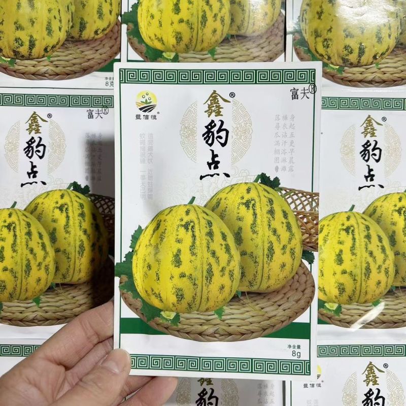 鑫豹点甜瓜种子八里香花皮豹点高糖绿肉杂交高产甜瓜香瓜种子