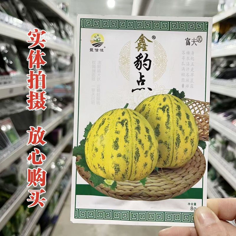 鑫豹点甜瓜种子八里香花皮豹点高糖绿肉杂交高产甜瓜香瓜种子