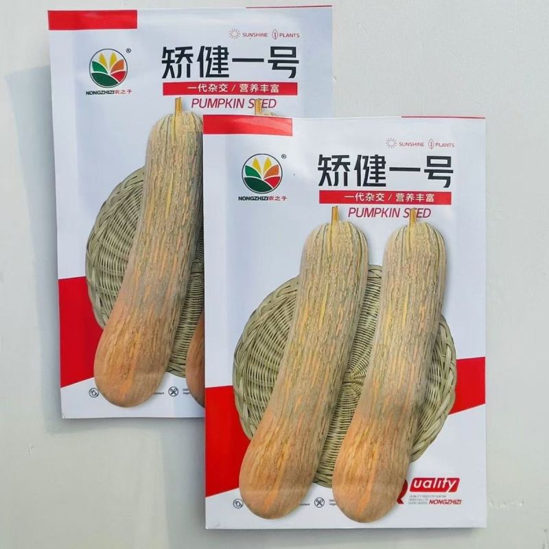 娇键一号蜜本南瓜种子早熟长棒型金瓜南瓜香甜粉糯杂交南瓜籽