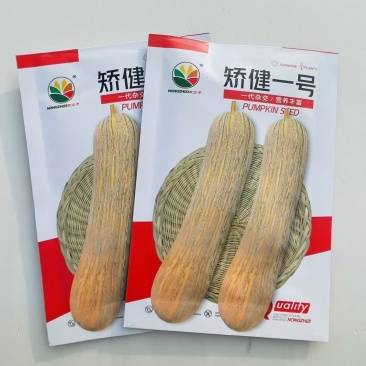 娇键一号蜜本南瓜种子早熟长棒型金瓜南瓜香甜粉糯杂交南瓜籽