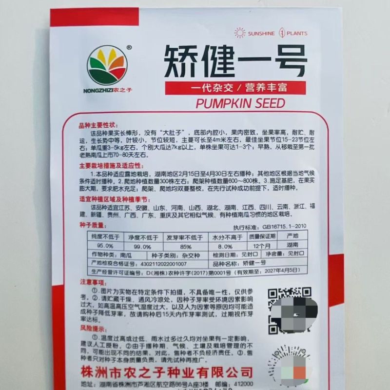 娇键一号蜜本南瓜种子早熟长棒型金瓜南瓜香甜粉糯杂交南瓜籽