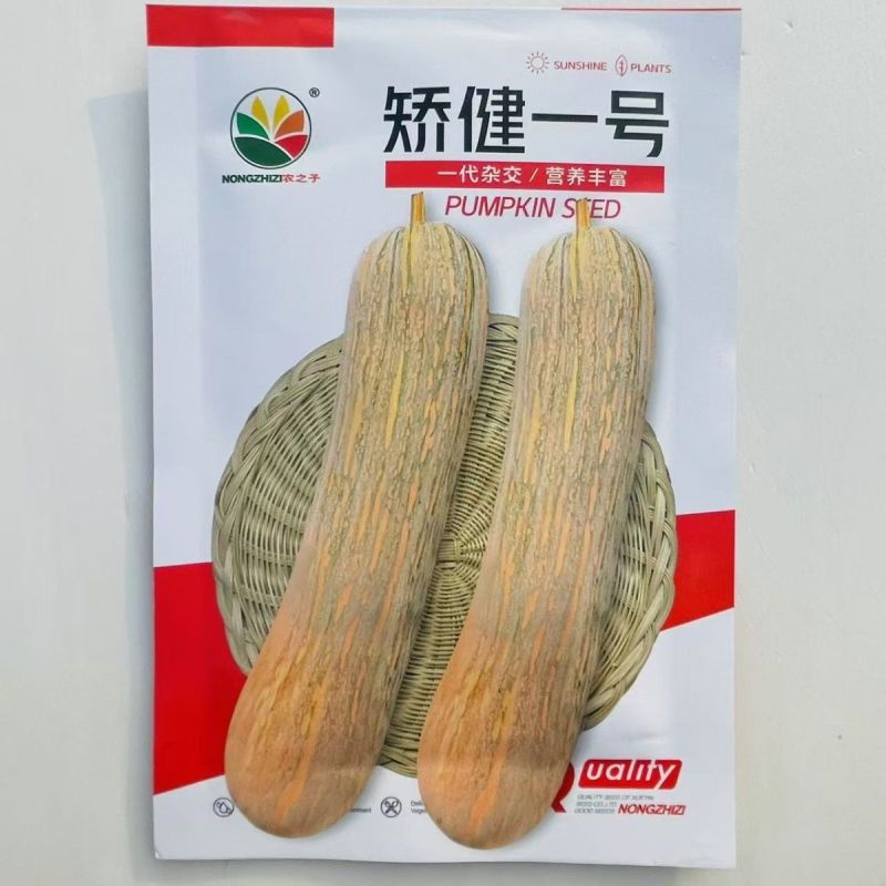 娇键一号蜜本南瓜种子早熟长棒型金瓜南瓜香甜粉糯杂交南瓜籽