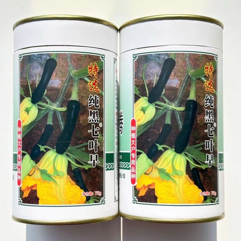 纯黑七叶早南瓜种子早生南瓜种子高产味甜微面黑皮南瓜种籽