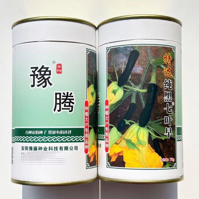 纯黑七叶早南瓜种子早生南瓜种子高产味甜微面黑皮南瓜种籽