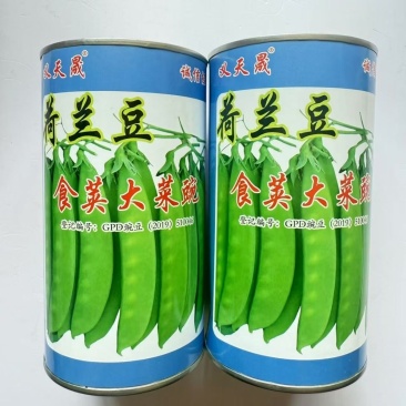 绿美珍宝豆荷兰豆种子大荚荷兰豆籽春秋播高产豌豆基地用
