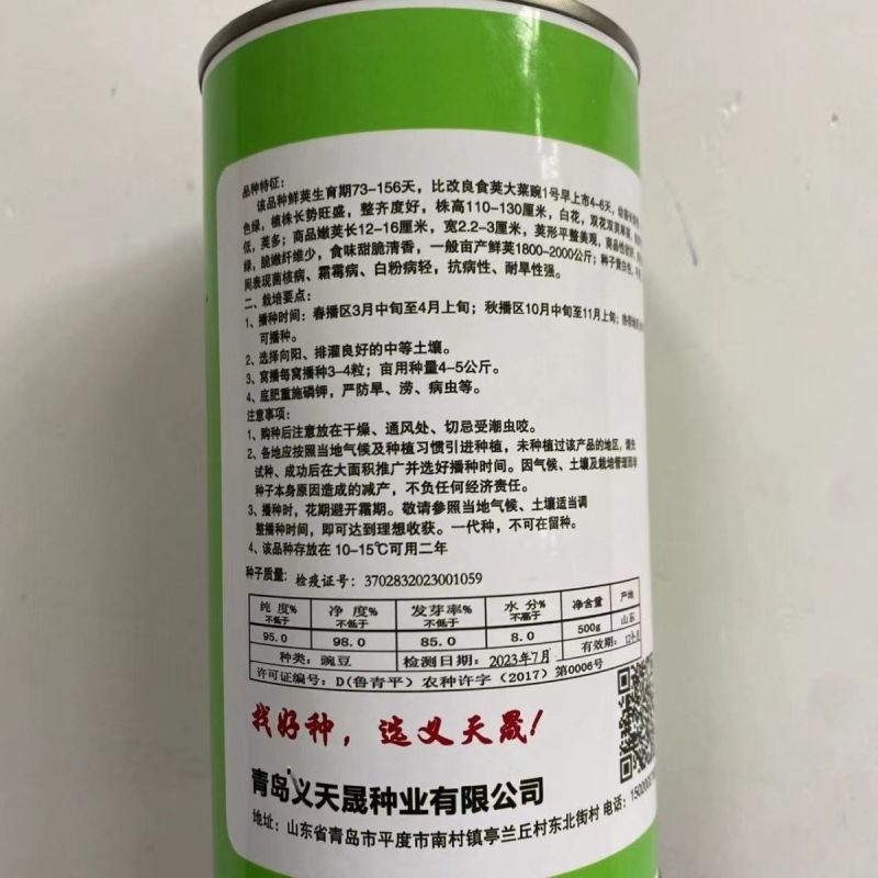 绿美珍宝豆荷兰豆种子大荚荷兰豆籽春秋播高产豌豆基地用