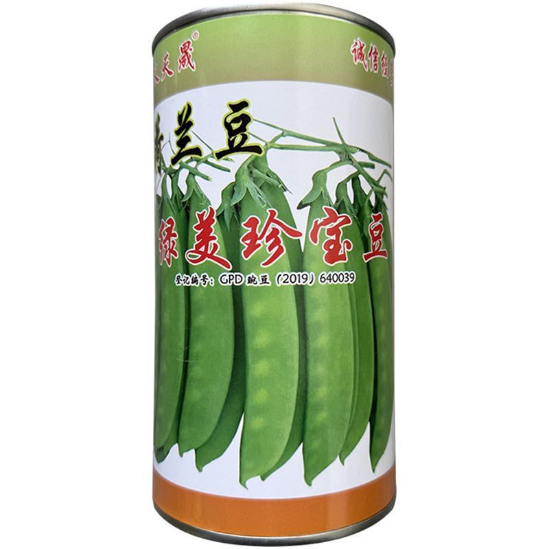 绿美珍宝豆荷兰豆种子大荚荷兰豆籽春秋播高产豌豆基地用