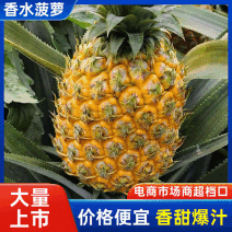 【精选】香水菠萝/云南香水菠萝/对接市场电商价格便宜