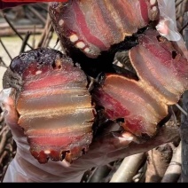 【腊肉】精品腊五花肉土家族苗族自家生产欢迎电话咨询