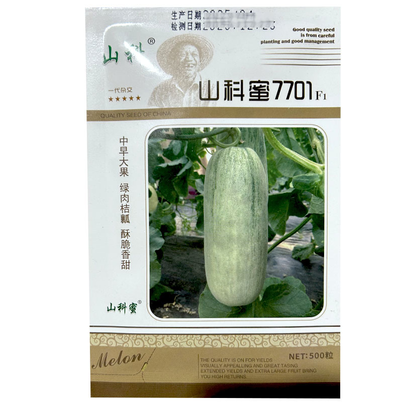 山科蜜7701早熟薄皮大果甜瓜种子500粒圆柱形绿肉羊角