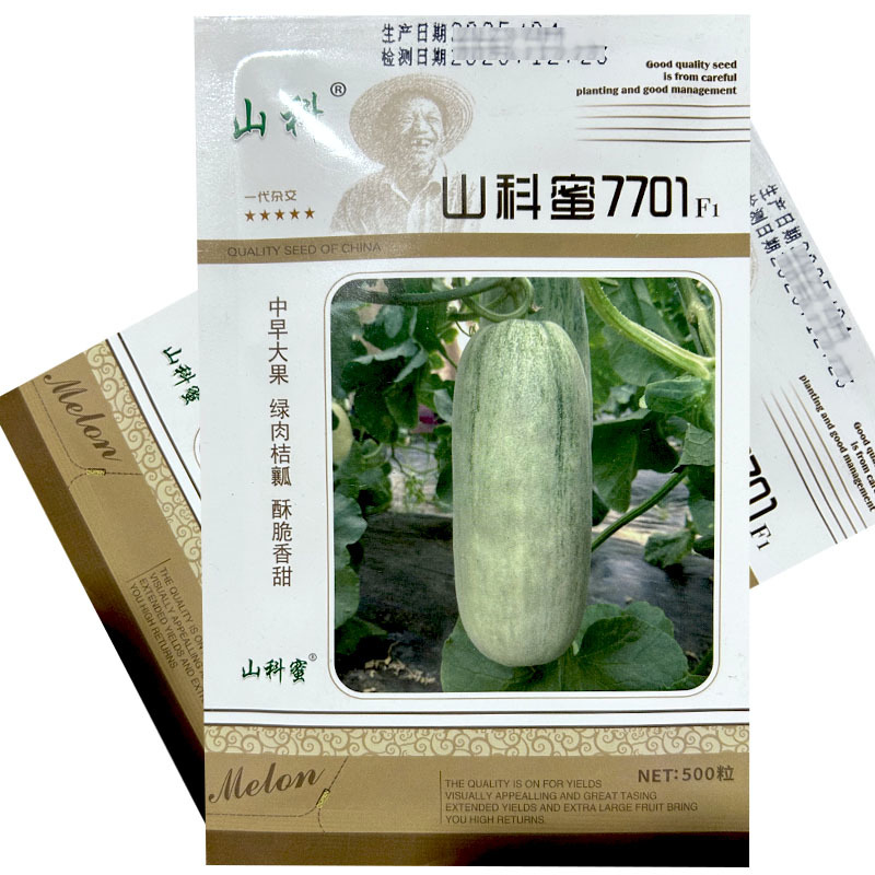 山科蜜7701早熟薄皮大果甜瓜种子500粒圆柱形绿肉羊角