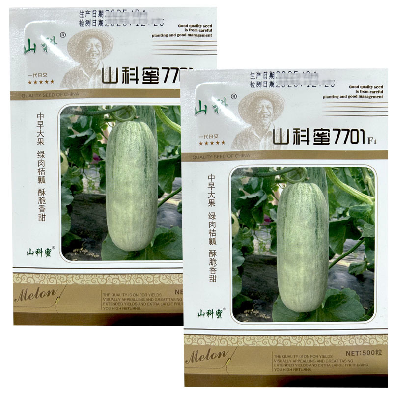 山科蜜7701早熟薄皮大果甜瓜种子500粒圆柱形绿肉羊角