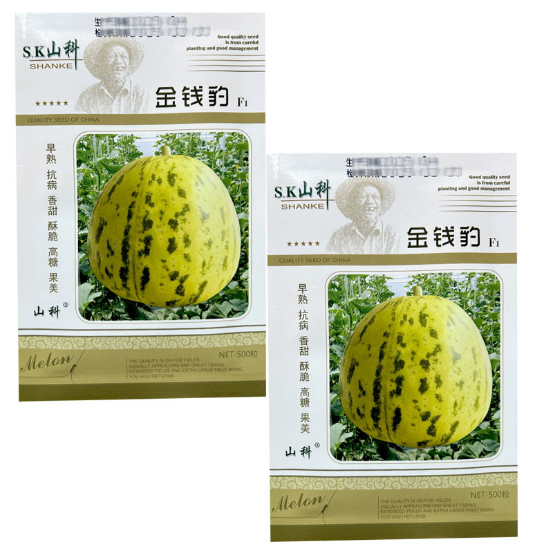 金钱豹甜瓜种子早熟抗病高糖花皮甜瓜500粒香瓜