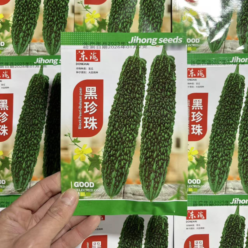 黑珍珠黑苦瓜种子春季播疙瘩绿苦瓜种子四季种植早熟雌花高