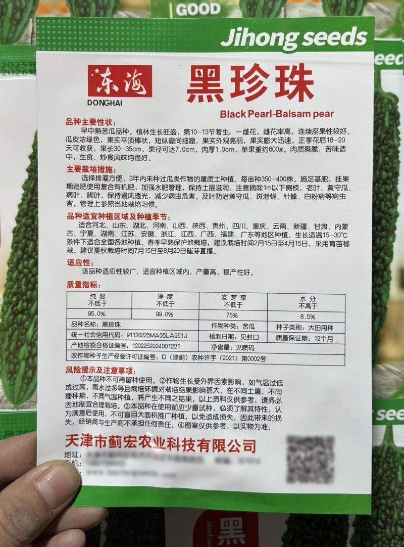 黑珍珠黑苦瓜种子春季播疙瘩绿苦瓜种子四季种植早熟雌花高