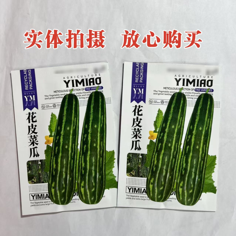 花皮菜瓜种子绿皮甜瓜种子酥瓜酱瓜脆瓜丰产早熟烧瓜青皮菜瓜