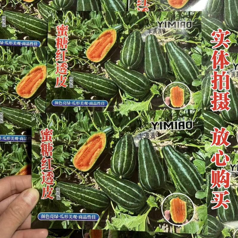 蜜糖红透皮甜瓜种子冰糖子花皮甜瓜种子瓤橘红色香甜可口脆