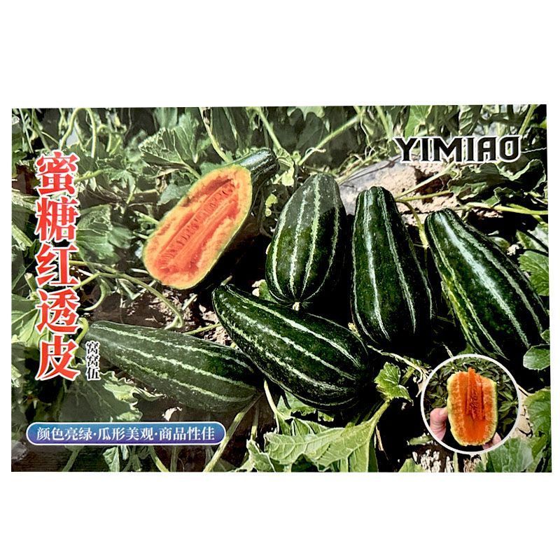 蜜糖红透皮甜瓜种子冰糖子花皮甜瓜种子瓤橘红色香甜可口脆