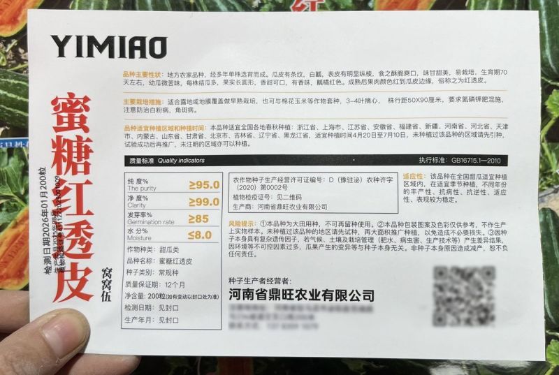 蜜糖红透皮甜瓜种子冰糖子花皮甜瓜种子瓤橘红色香甜可口脆