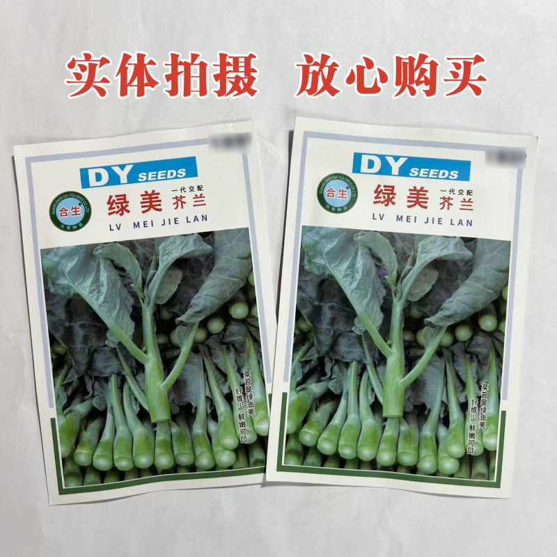 绿美芥兰种子蔬菜基地用种菜苔芥蓝翠绿油亮四季甜心芥兰种子