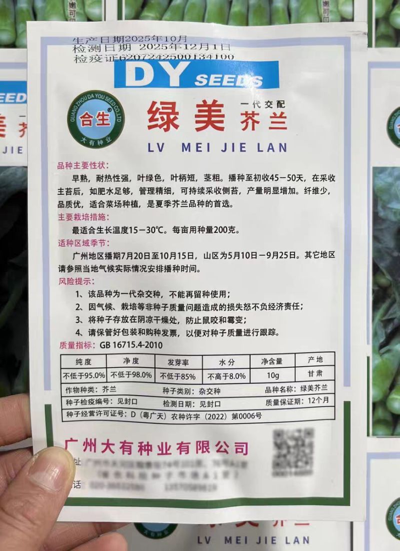 绿美芥兰种子蔬菜基地用种菜苔芥蓝翠绿油亮四季甜心芥兰种子