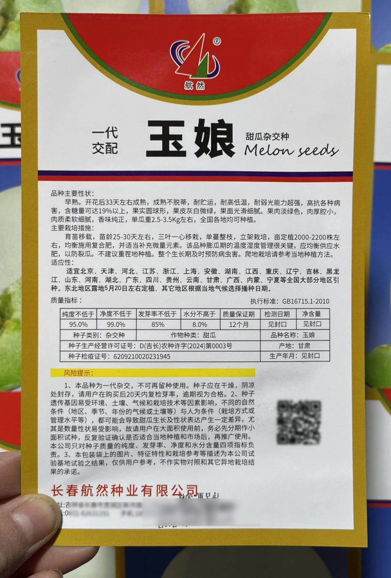 玉娘玉姑甜瓜种子白皮绿肉超甜冰淇淋玉菇哈密瓜种子四季种
