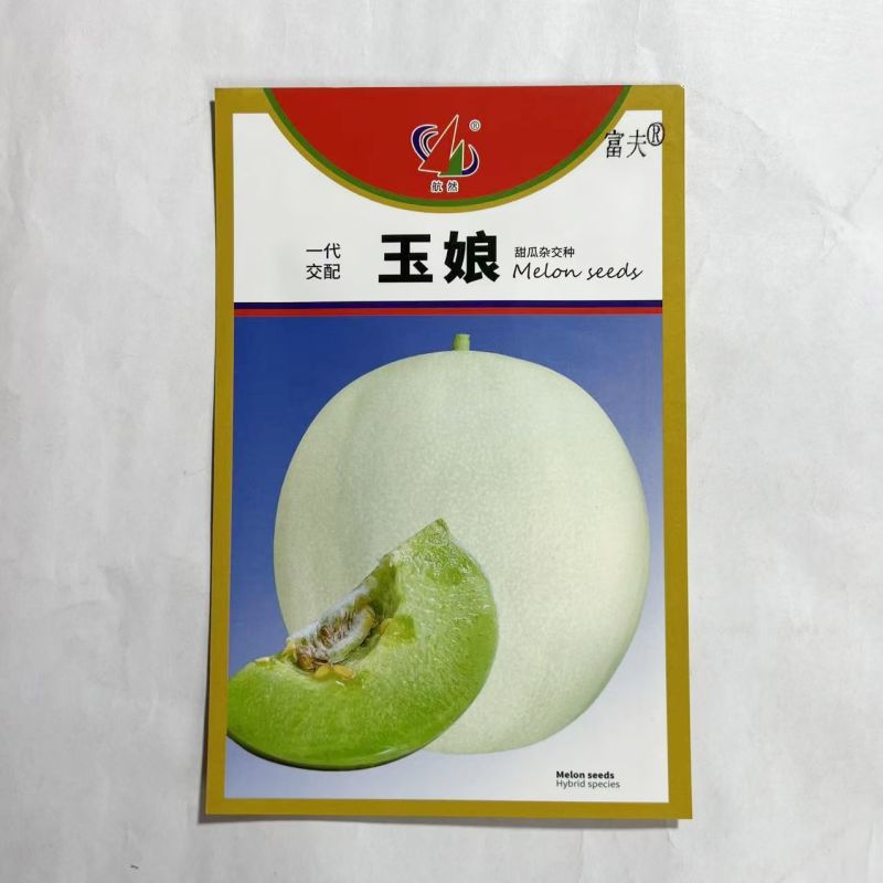 玉娘玉姑甜瓜种子白皮绿肉超甜冰淇淋玉菇哈密瓜种子四季种