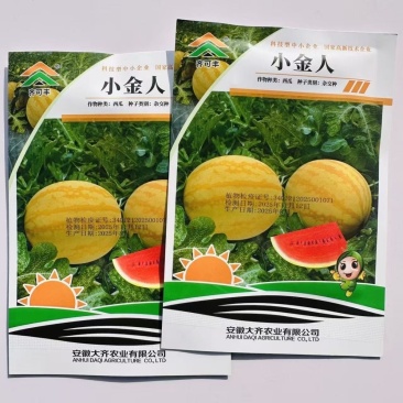 小金人礼品西瓜种子圆形黄皮红瓤脆甜多汁黄皮西瓜种子