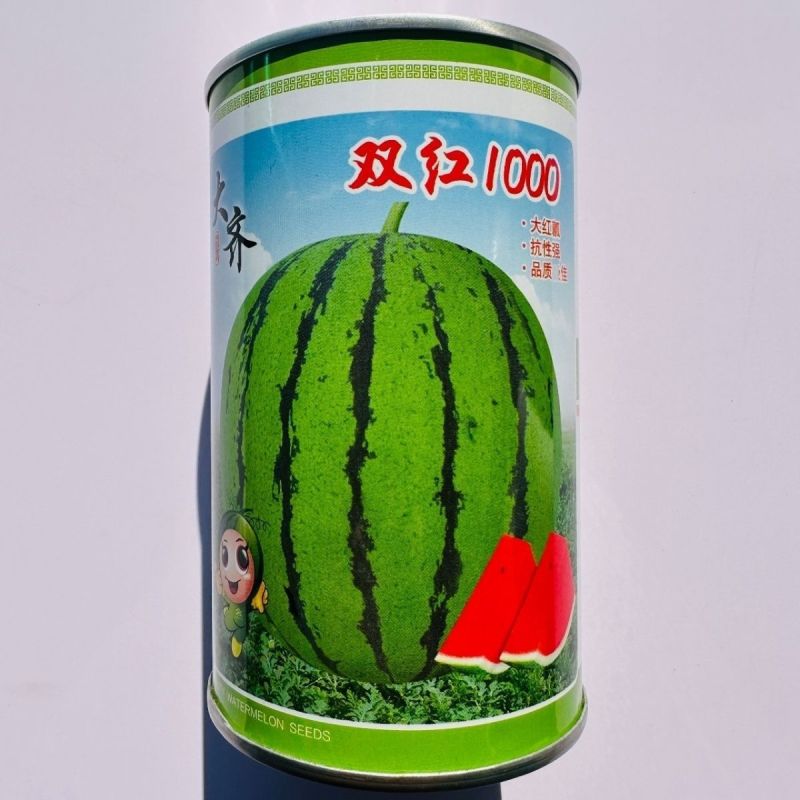双红1000西瓜种子早熟正圆大红瓤西瓜种子薄皮抗裂西瓜种