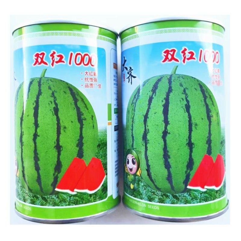 双红1000西瓜种子早熟正圆大红瓤西瓜种子薄皮抗裂西瓜种