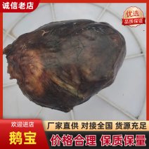 鹅宝大量现货供应，货源充足，对接全国客商货发全国