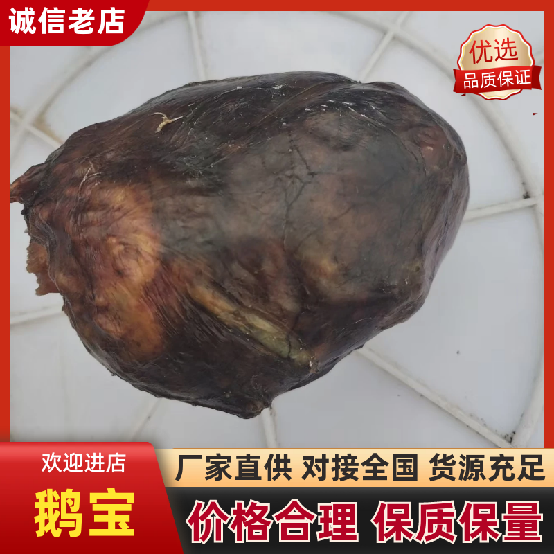 鹅宝大量现货供应，货源充足，对接全国客商货发全国