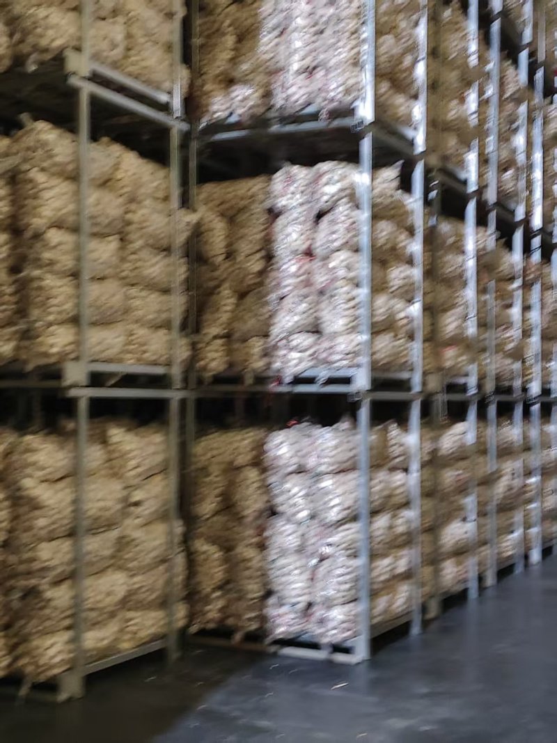 邳州精品大蒜大量供应产地直发价格优惠欢迎来电洽谈