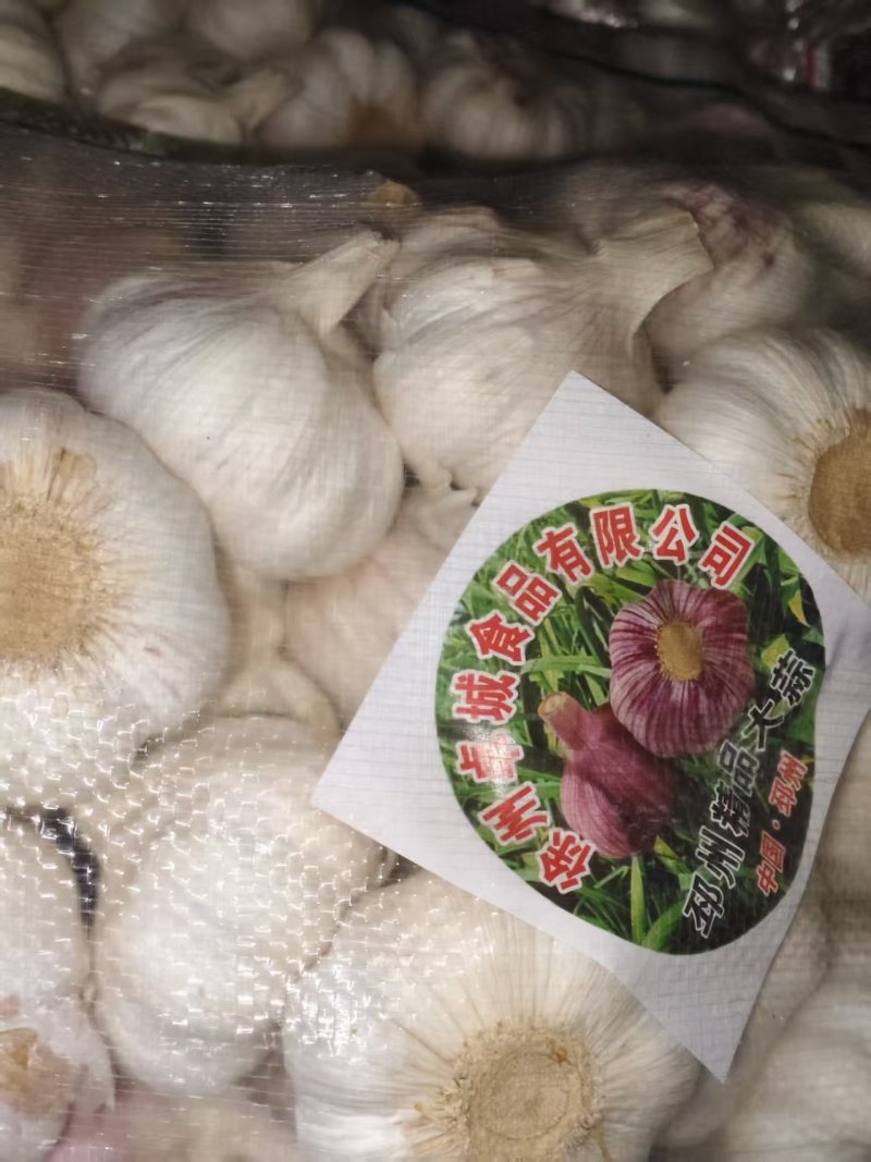 邳州精品大蒜量大价优对接全国市场商超社区团购来电谈