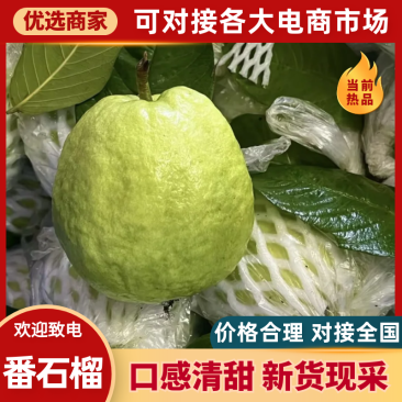 【实力推荐】广东番石榴产地直发量大从优可对接全国客商欢迎