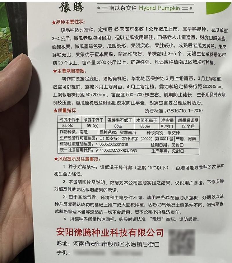 蜜薯南瓜种子黑皮南瓜种子牛腿型甜面南瓜种子结果多高产